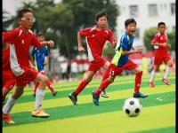 全北现代VSFC首尔直播_全北现代VSFC首尔在线直播_首尔FC VS 全北现代