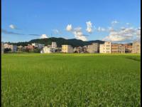 辽宁铁人VS青岛西海岸直播_辽宁铁人VS青岛西海岸直播免费观看_青岛西海岸VS辽宁铁人农商银行在线观看比赛直播